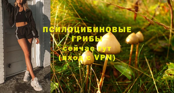 МДПВ Абаза
