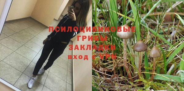a pvp Абдулино