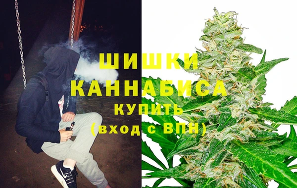 винт Новозыбков