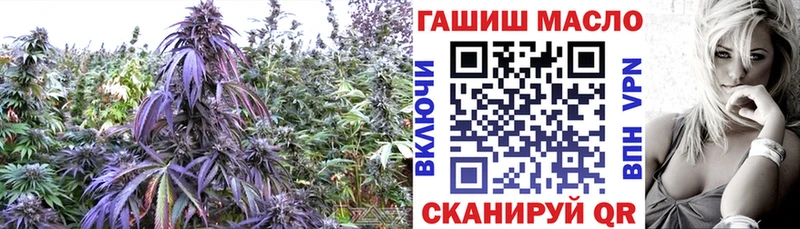 наркошоп  Гагарин  ТГК вейп с тгк 